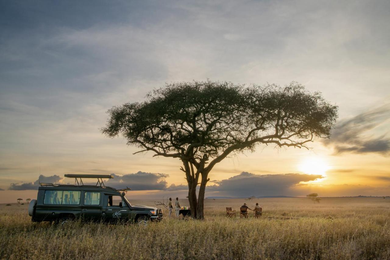 Serengeti Sametu Camp Eksteriør bilde